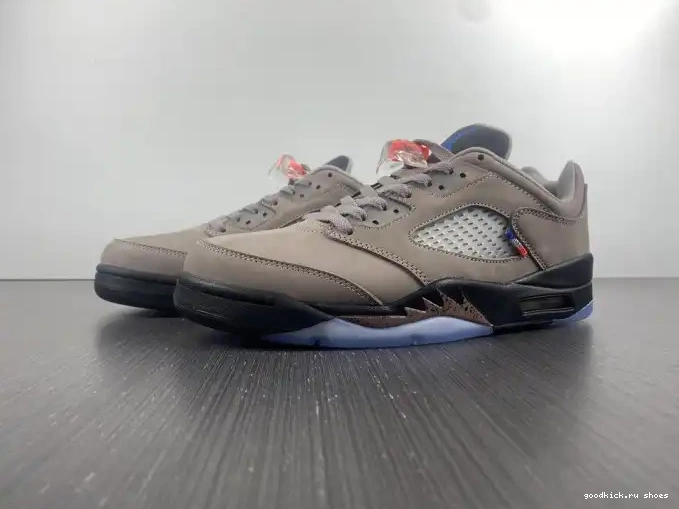 x Air DX6325-204 Low PSG Jordan 5 0528
